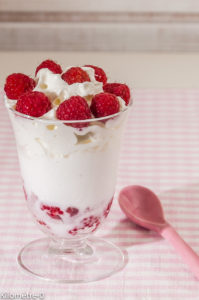 Photo de recette de glace noix de coco, framboises, chantilly, rapide, facile, pas cher de lKilomètre-0, blog de cuisine réalisée à partir de produits locaux et issus de circuits courts