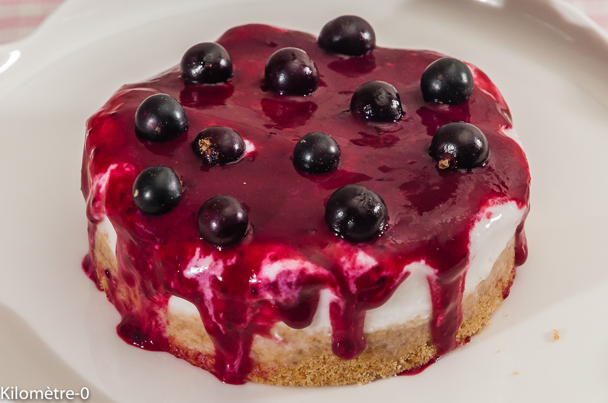 Photo de recette de glace noix de coco, cassis, fruits rouges, très facile, rapide, de Kilomètre-0, blog de cuisine réalisée à partir de produits locaux et issus de circuits courts