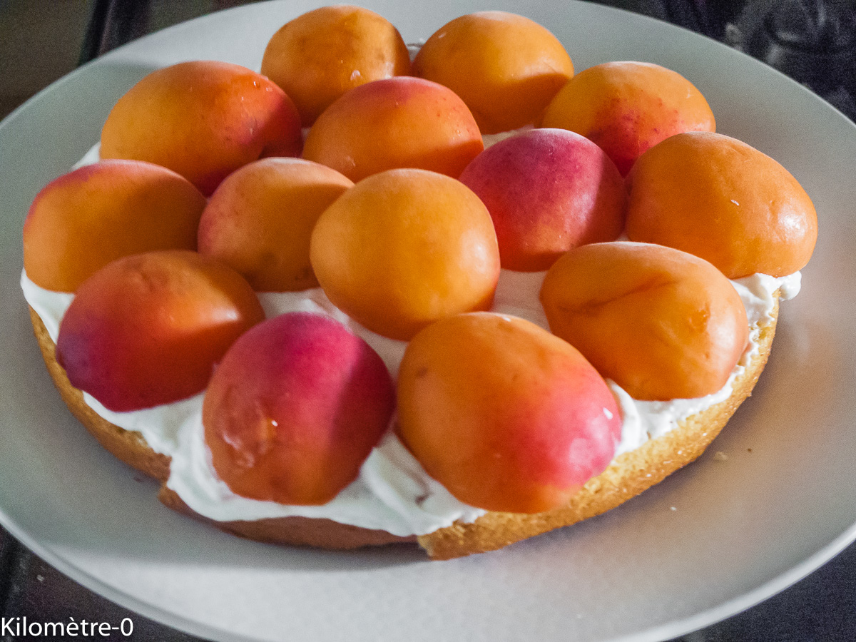 Photo de recette de gâteau aux abricots facile de Kilomètre-0, blog de cuisine réalisée à partir de produits locaux et issus de circuits courts