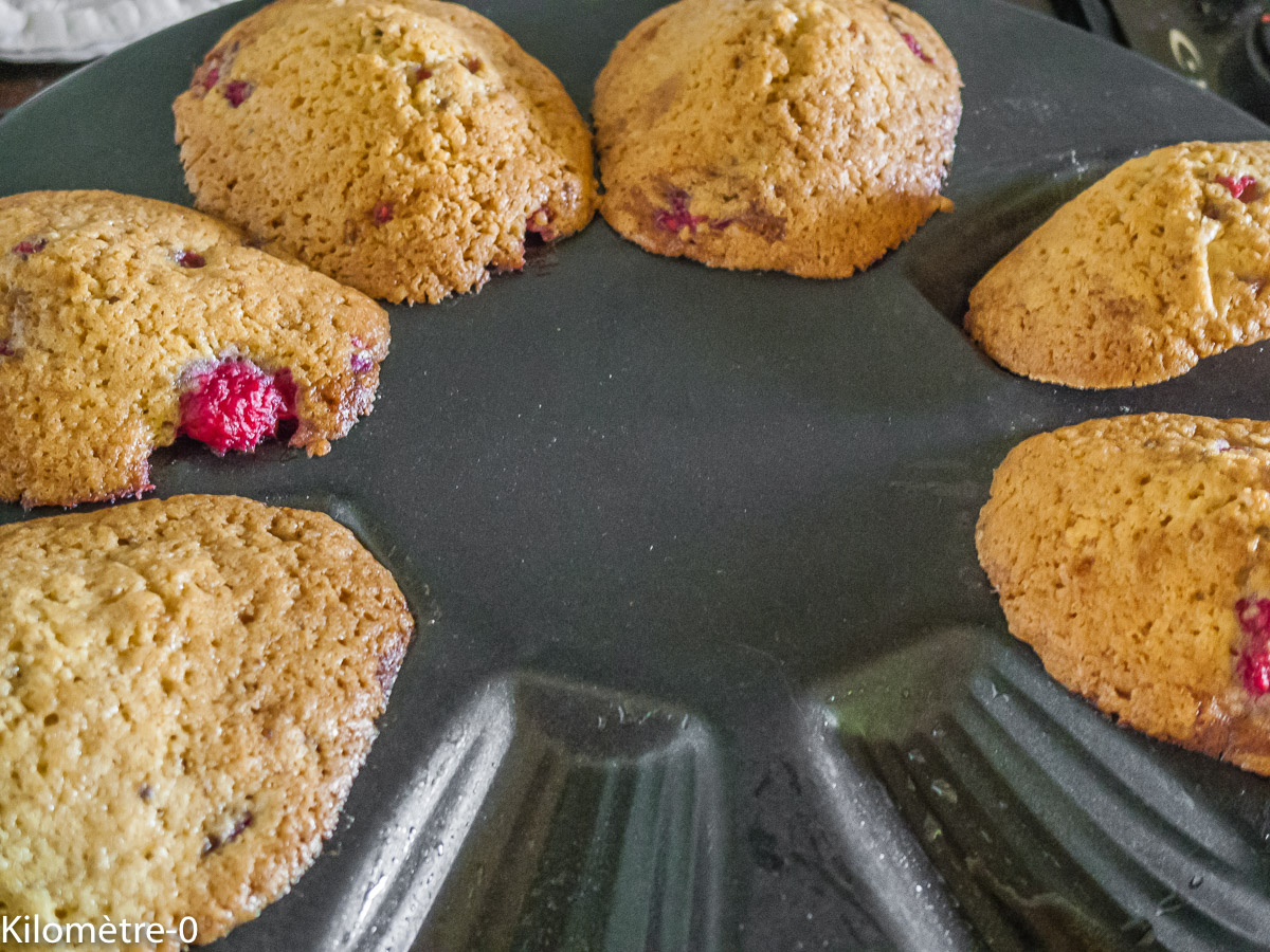 Photo de recette de madeleines de Kilomètre-0, blog de cuisine réalisée à partir de produits locaux et issus de circuits courts