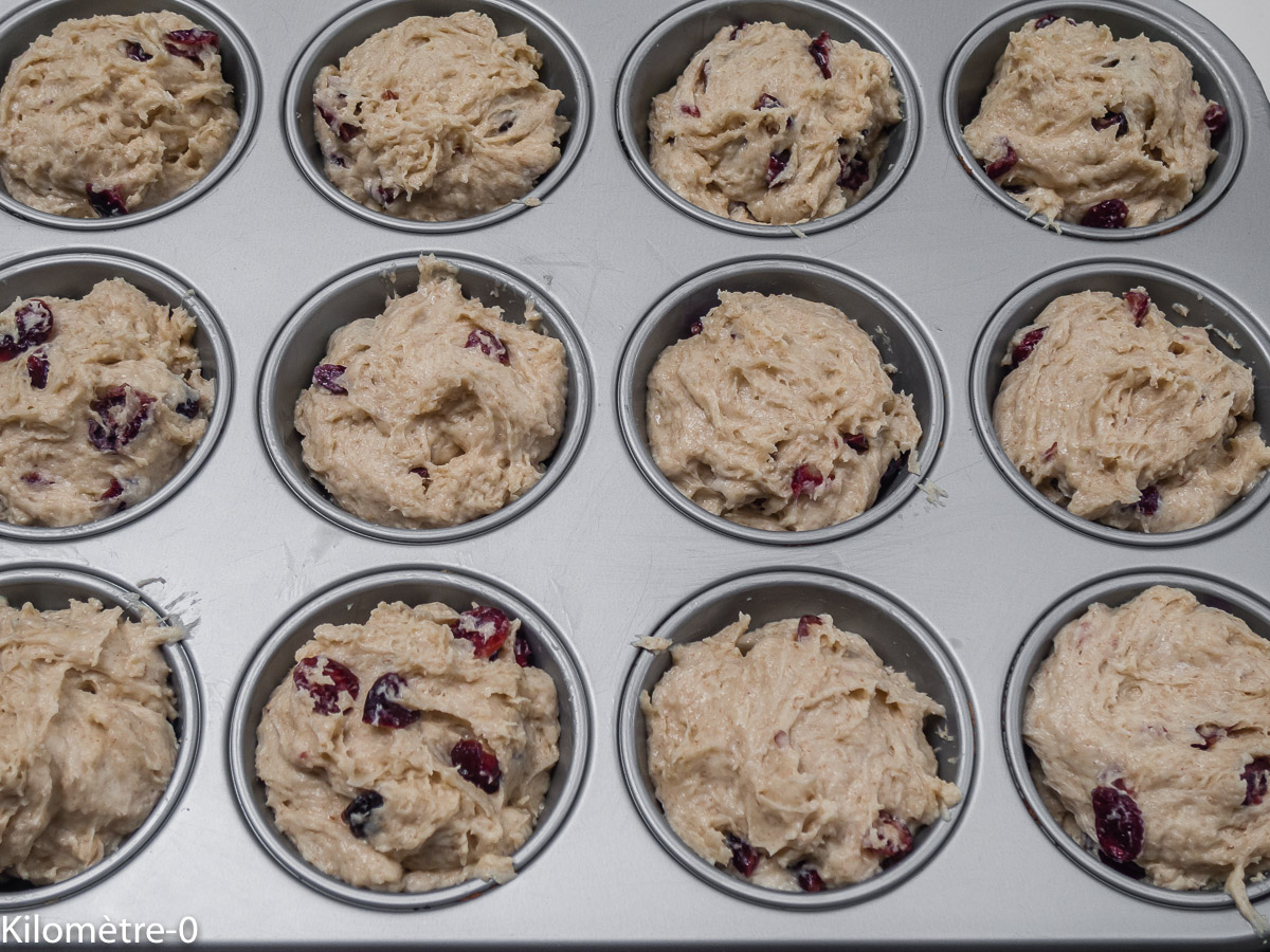 Photo de recette de scones, cranberries, facile, léger de Kilomètre-0, blog de cuisine réalisée à partir de produits locaux et issus de circuits courts