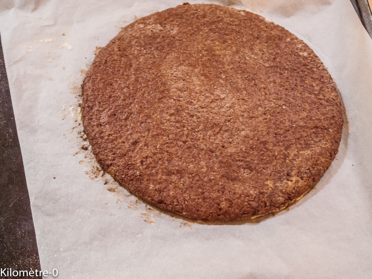 Photo de recette de biscuit, glace de Kilomètre-0, blog de cuisine réalisée à partir de produits locaux et issus de circuits courts