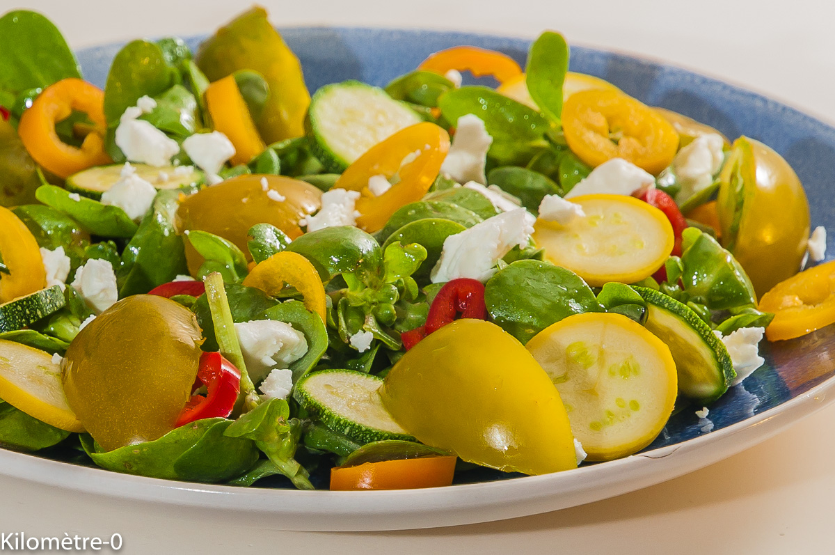 Photo de recette de pourpier, tomates, poivrons, fêta, courgettes, salade, facile, rapide, léger, été, Kilomètre-0, blog de cuisine réalisée à partir de produits locaux et issus de circuits courts