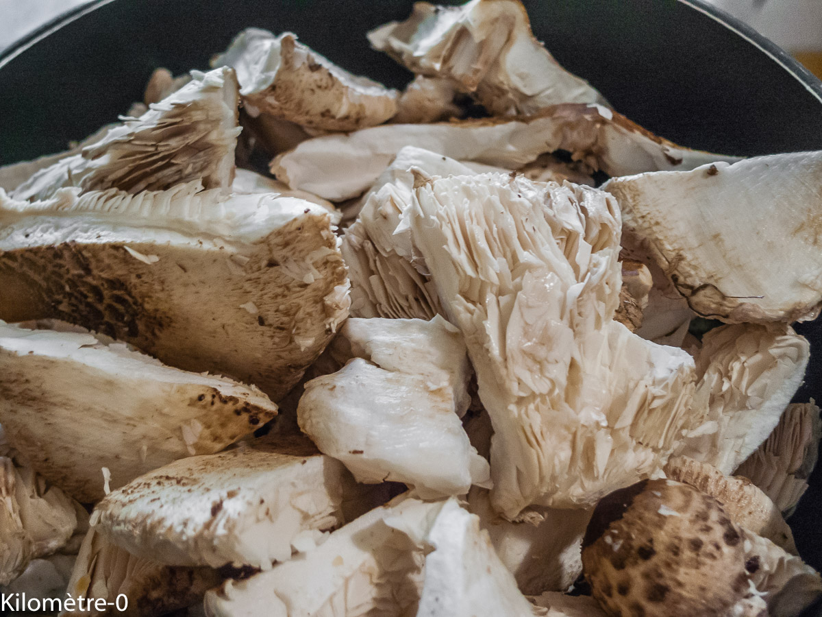 Photo de recette de coulemelles de Kilomètre-0, blog de cuisine réalisée à partir de produits locaux et issus de circuits courts