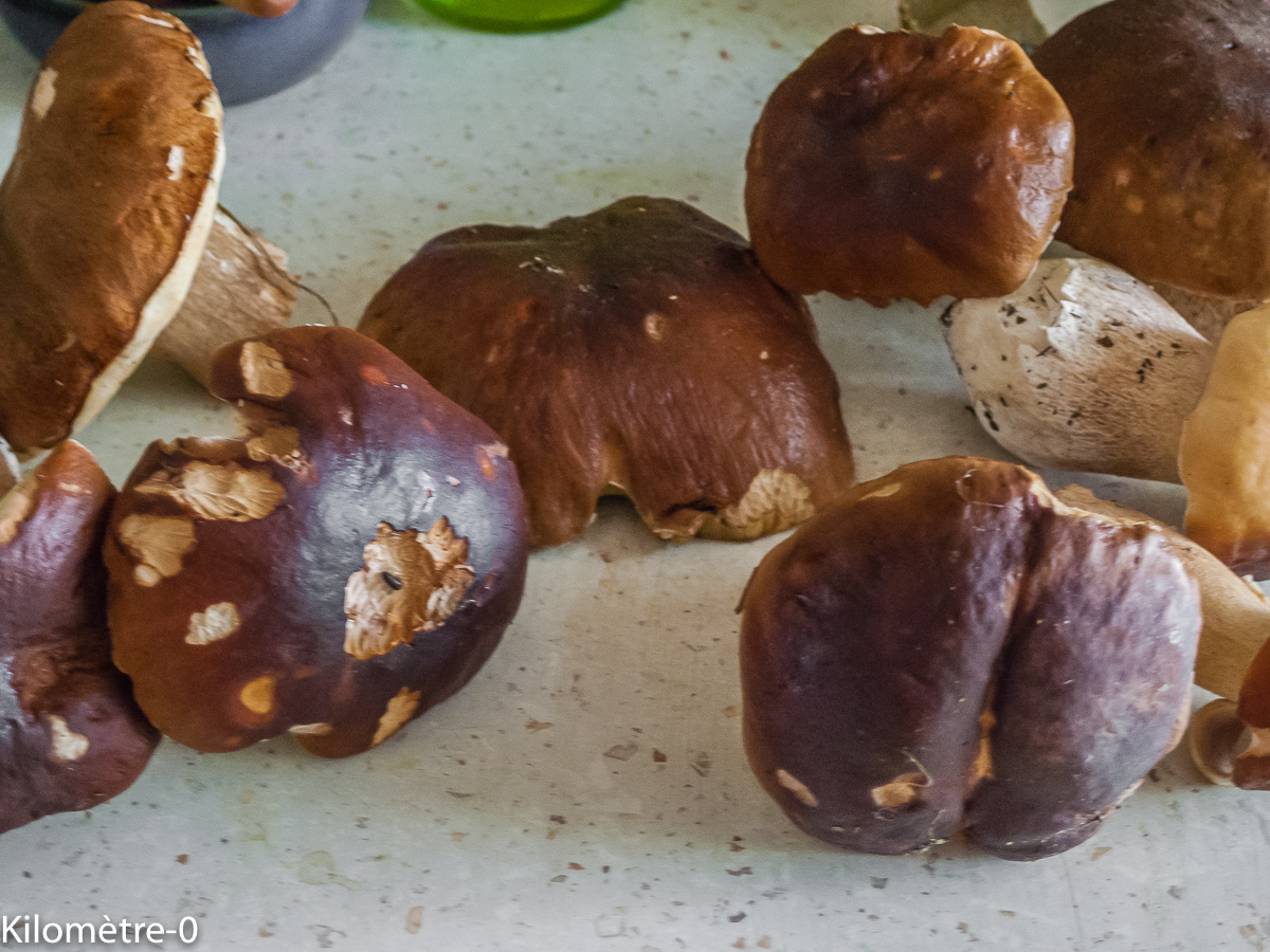 Photo de recette de cèpes de Kilomètre-0, blog de cuisine réalisée à partir de produits locaux et issus de circuits courts