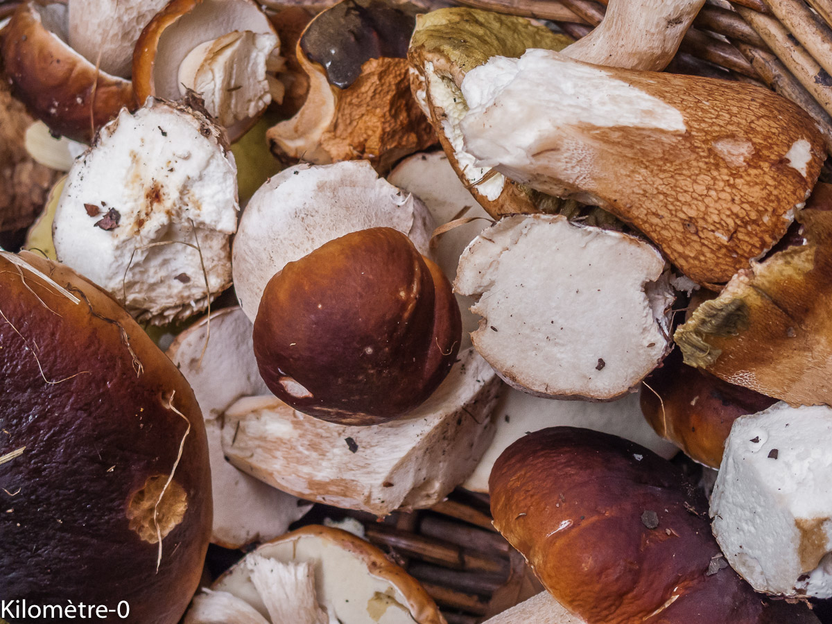 Photo de recette de cèpes de Kilomètre-0, blog de cuisine réalisée à partir de produits locaux et issus de circuits courts