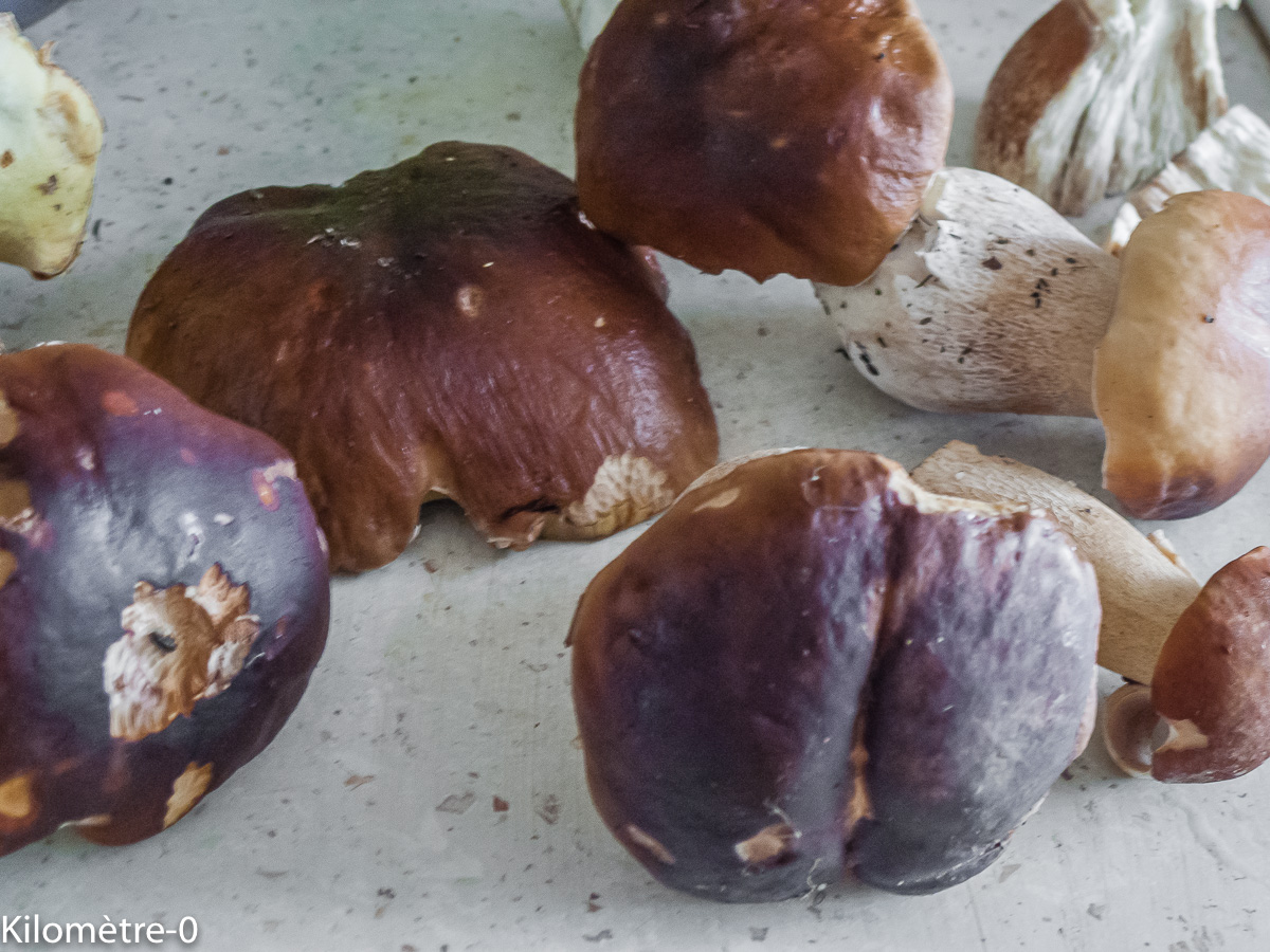 Photo cuisiner des cèpes, préparer des cèpes de Kilomètre-0, blog de cuisine réalisée à partir de produits locaux et issus de circuits courts