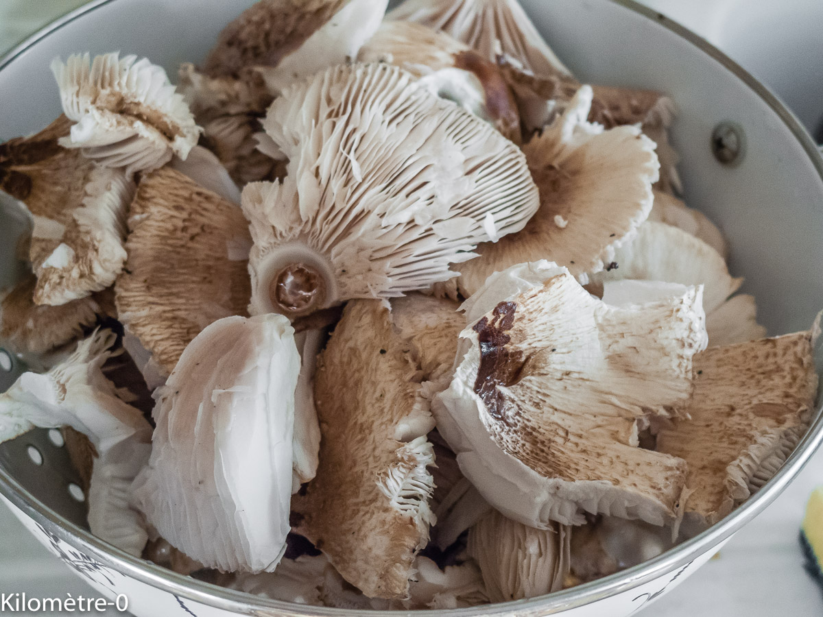 Photo de recette de coulemelles de Kilomètre-0, blog de cuisine réalisée à partir de produits locaux et issus de circuits courts