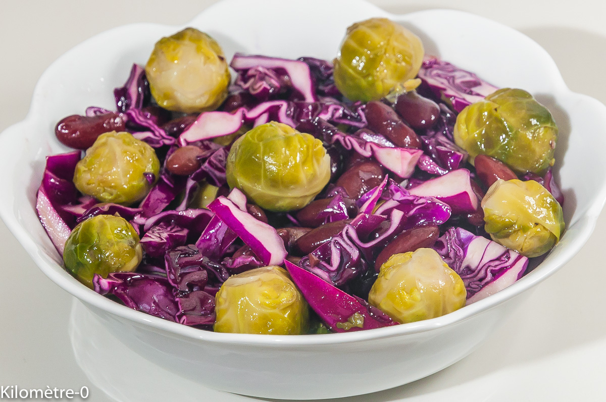 Salade De Chou Rouge Aux Choux De Bruxelles Et Haricots Rouges