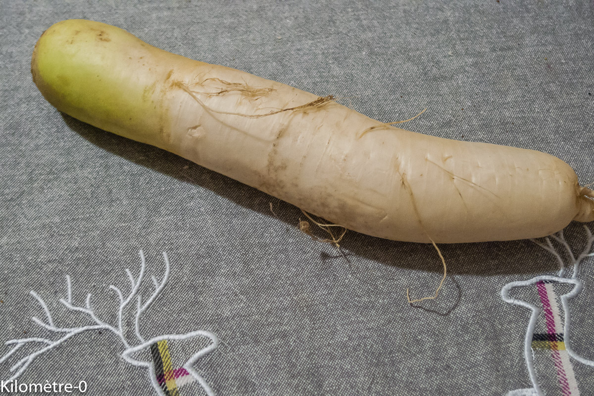 Photo de recette de radis daïkon de Kilomètre-0, blog de cuisine réalisée à partir de produits locaux et issus de circuits courts