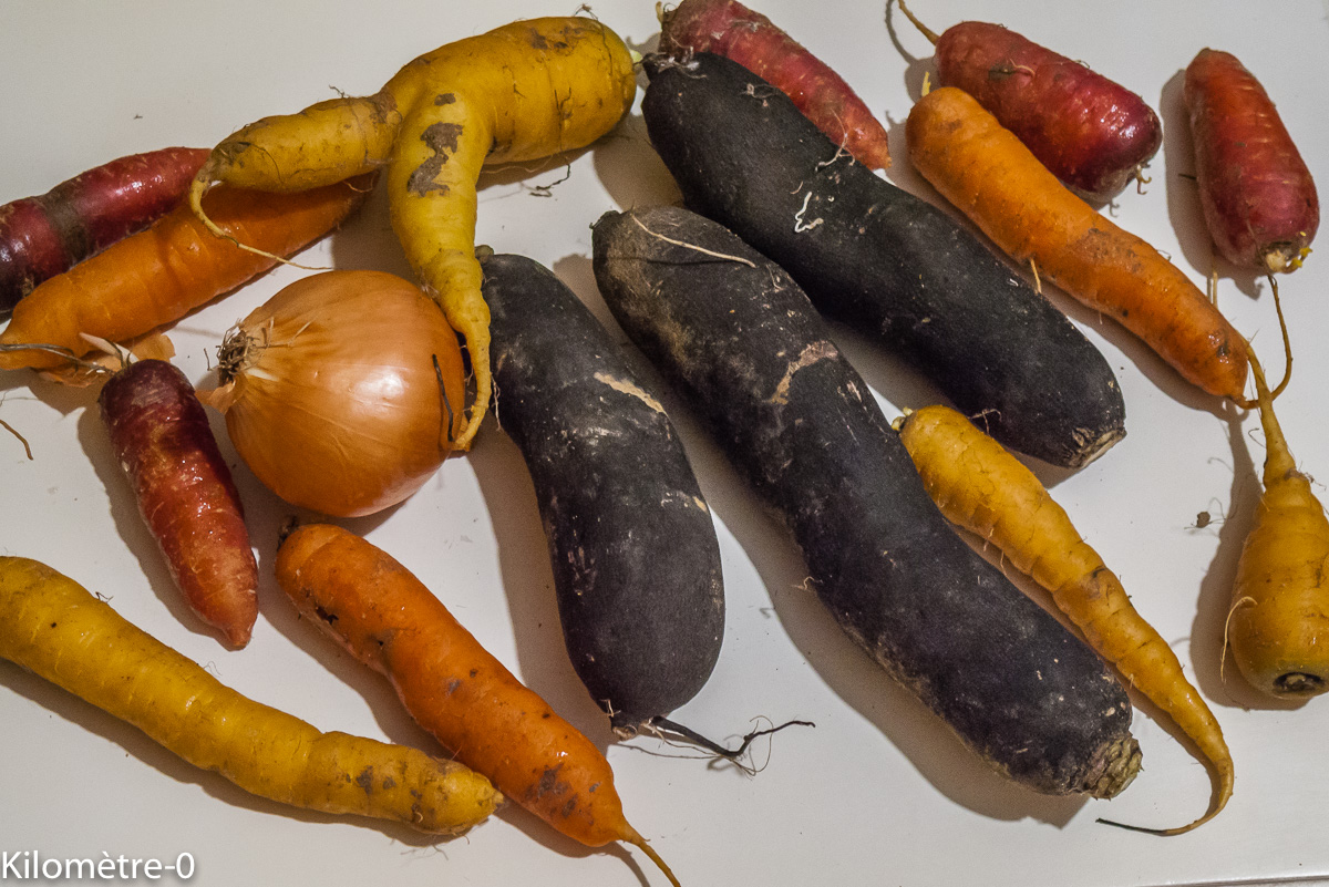 Photo de recette de radis, noirs, carottes, légumes, bio, hiver, de Kilomètre-0, blog de cuisine réalisée à partir de produits locaux et issus de circuits courts