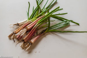 Photo de recette de cives de Kilomètre-0, blog de cuisine réalisée à partir de produits locaux et issus de circuits courts
