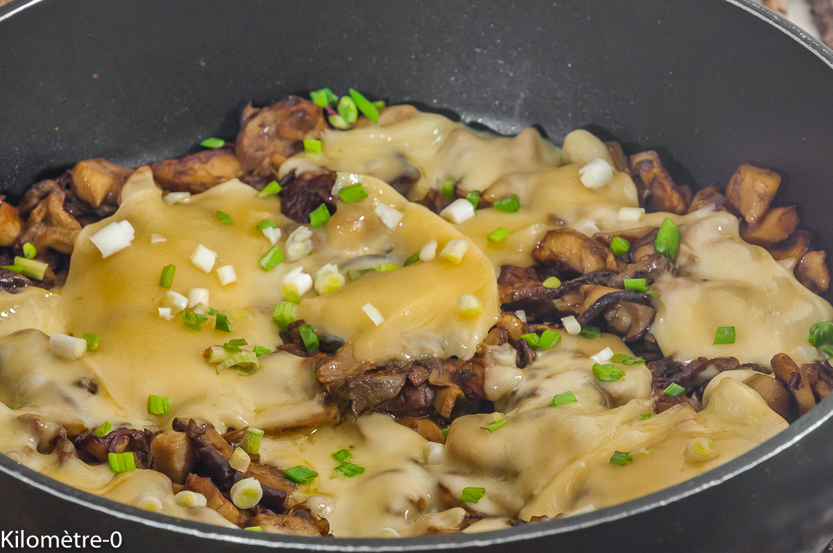 Photo de recette du Bhoutan, facile, rapide, champignons, Kilomètre-0, blog de cuisine réalisée à partir de produits locaux et issus de circuits courts