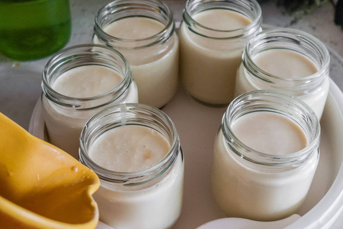 Photo de recette de yaourt maison facile bio Kilomètre-0, blog de cuisine réalisée à partir de produits de saison et issus de circuits courts