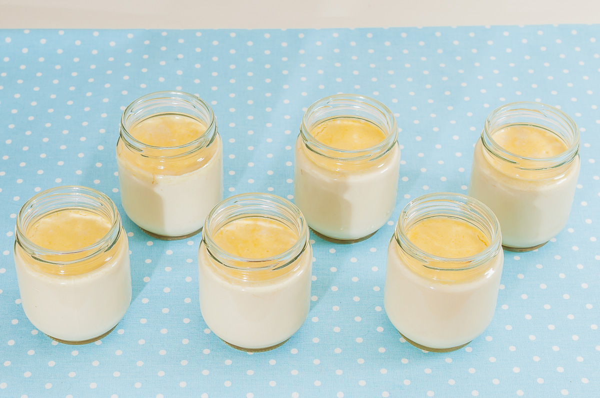 Photo de recette de yaourts maison, bio, lait entier fermier facile de Kilomètre-0, blog de cuisine réalisée à partir de produits de saison et issus de circuits courts
