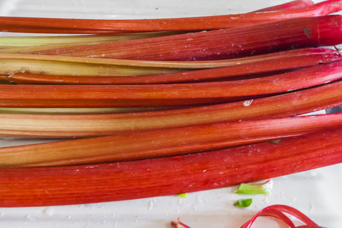 Photo de recette de rhubarbe facile de Kilomètre-0, blog de cuisine réalisée à partir de produits de saison et issus de circuits courts