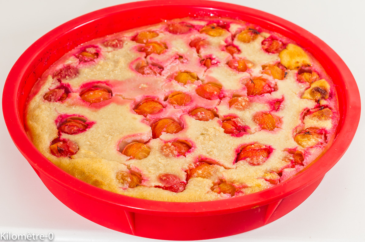 Photo de recette de gâteau de pain, économique, pain perdu, fruits d'été, prunes, facile, petit déjeuner, cake, gâteau du matin Kilomètre-0, blog de cuisine réalisée à partir de produits de saison et issus de circuits courts