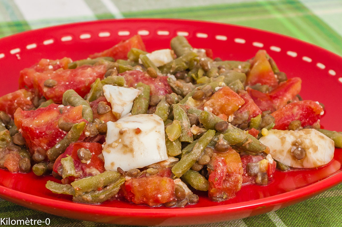 Photo de recette de salade de lentilles, végétarien, végétarienne, healthy, facile, légumes, été, tomate, haricots verts de Kilomètre-0, blog de cuisine réalisée à partir de produits de saison et issus de circuits courts