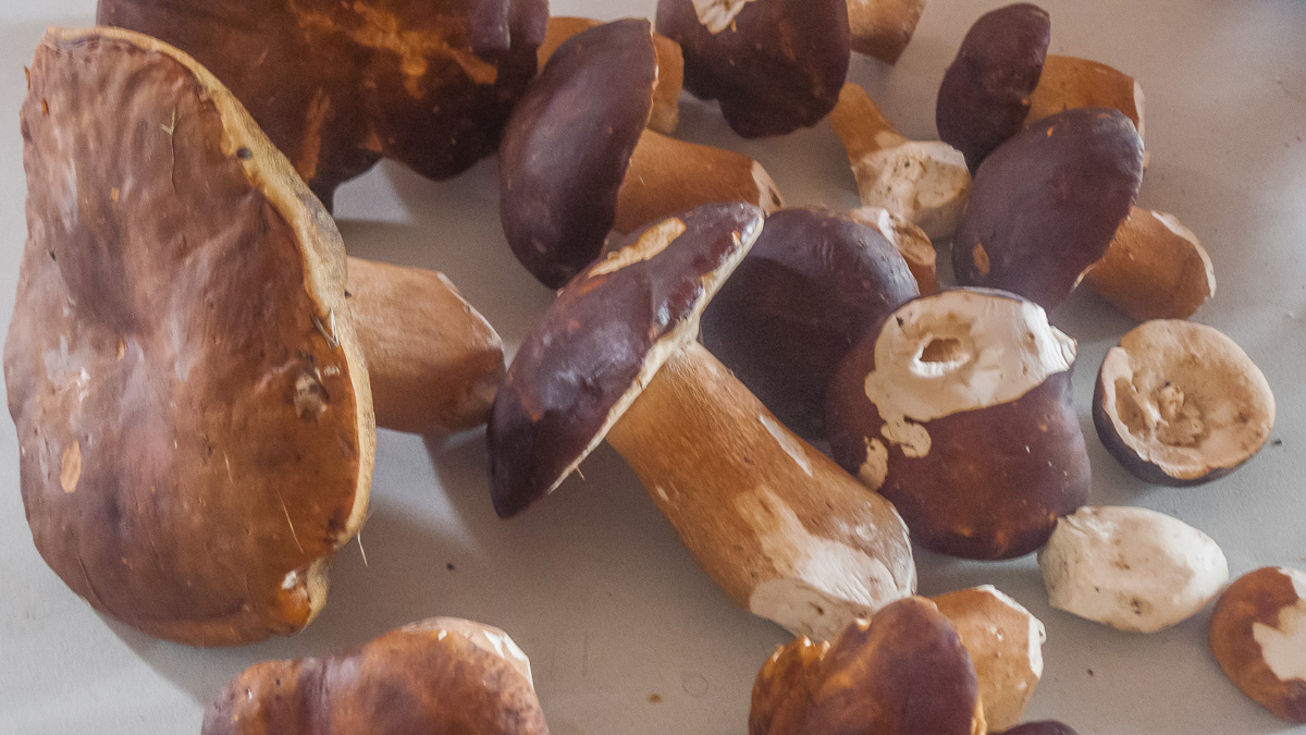 Photo de recette de cèpes de Bordeaux, champignons, Kilomètre-0, blog de cuisine réalisée à partir de produits de saison et issus de circuits courts