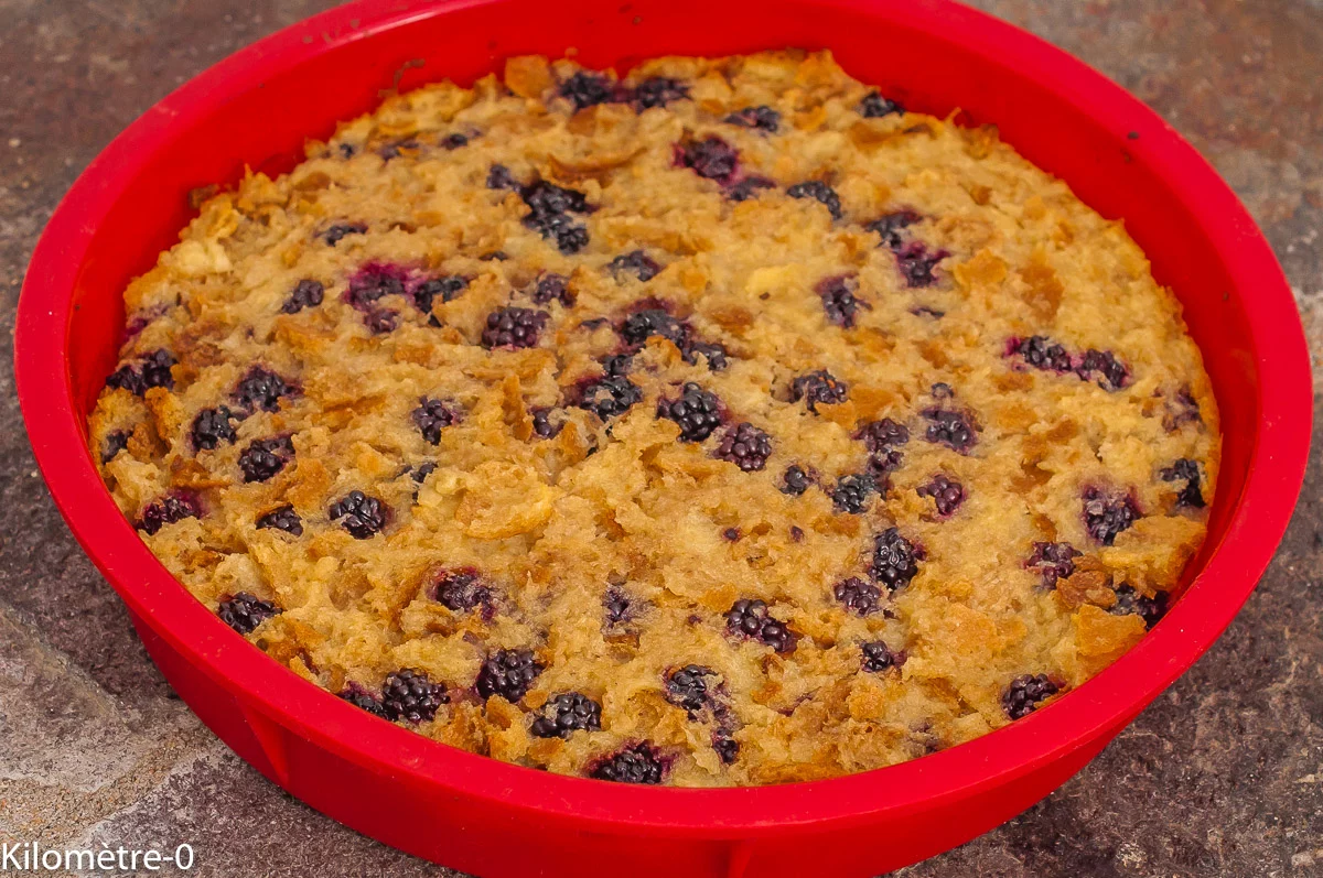 Photo de recette économique, anti gaspillage, gâteau de pain aux mûres, fruits rouges, petit déjeuner, pain perdu, goûter, facile, laitage, rapide, healthy, de Kilomètre-0, blog de cuisine réalisée à partir de produits de saison et issus de circuits courts