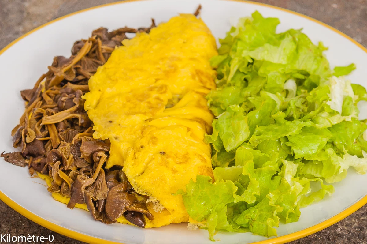 Photo de recette de chanterelles, girolles grises, champignons, facile, rapide, omelette, oeufs, bio,n healthy, végétarienne, légère , Kilomètre-0, blog de cuisine réalisée à partir de produits de saison et issus de circuits courts