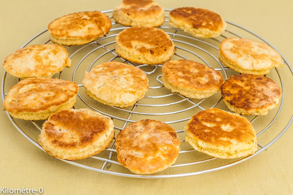 Photo de recette de biscuits, gâteaux, banfora, biscuits à l’ananas cuits à la poêle, sans cuisson au four, facile, léger, bio, rapide, healthy, ananas séché, du Burkina Faso, Kilomètre-0, blog de cuisine réalisée à partir de produits de saison et issus de circuits courts