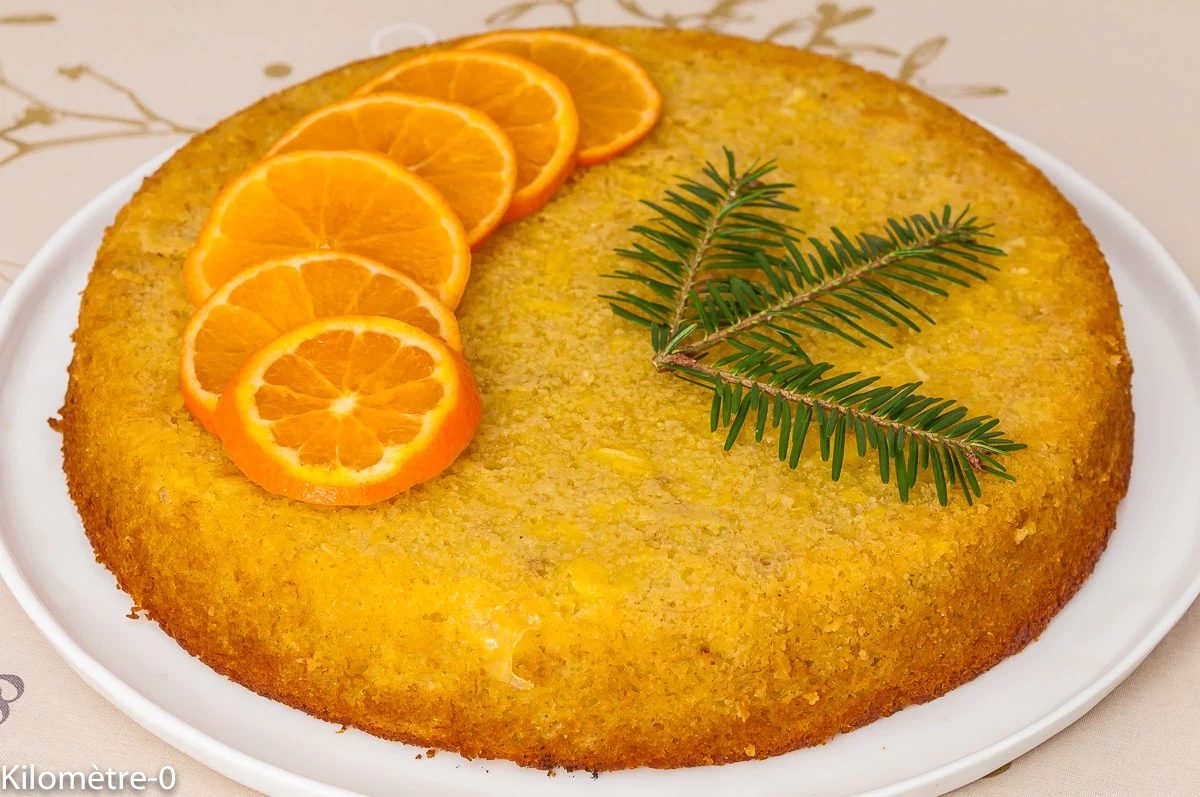Photo de recette de pudding aux bananes et aux agrumes, orange, citron, agrume, banane, fruits, dessert, gâteau, facile, rapide, healthy, cuisine du monde, cuisine asiatique, Kilomètre-0, blog de cuisine réalisée à partir de produits de saison et issus de circuits courts