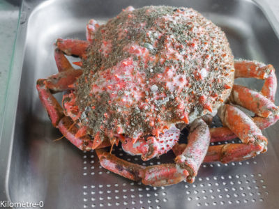 Photo de recette de cuisson de l'araignée, comment cuire une araignée, fruits de mer, cuisson vapeur, four vapeur, facile, technique de cuisson d'une araignée, Kilomètre-0, blog de cuisine réalisée à partir de produits de saison et issus de circuits courts