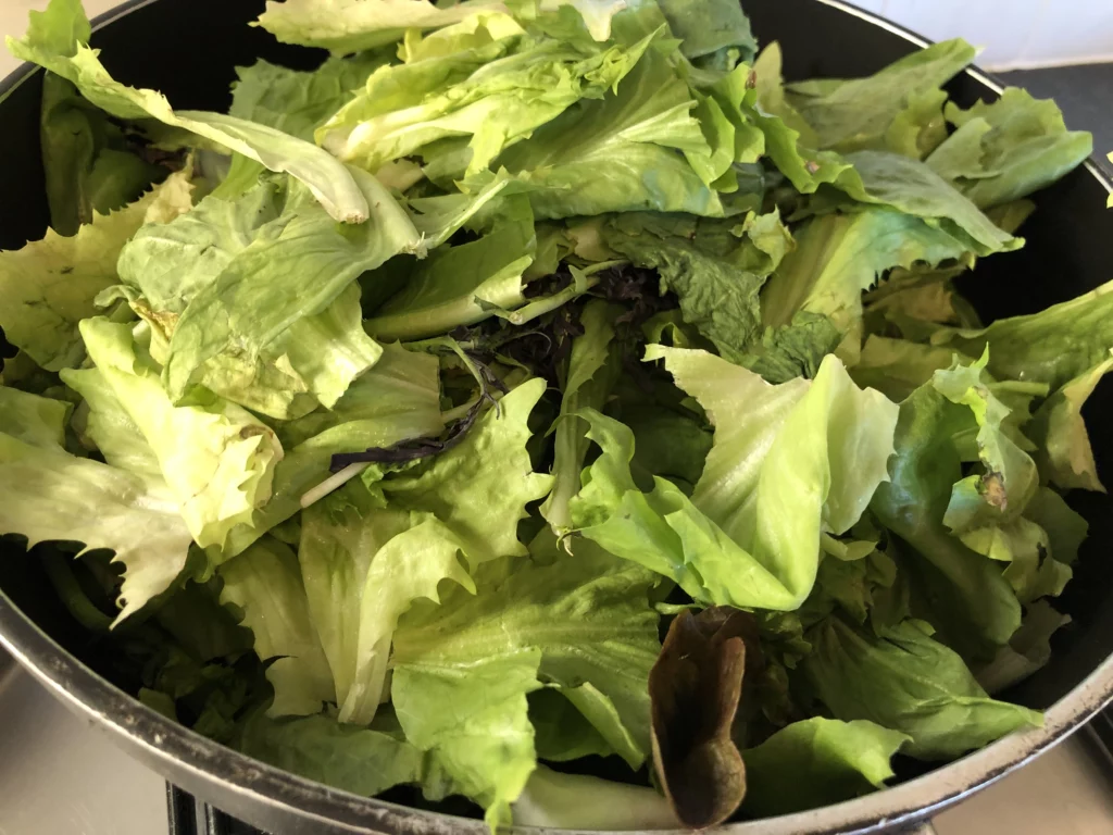 Lasagnes aux lentilles et à la scarole - Étape 2