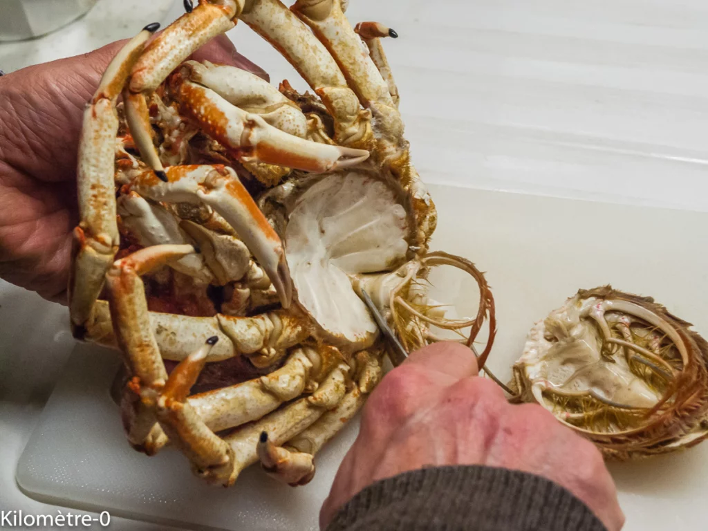 Décortiquer une araignée - Étape 3