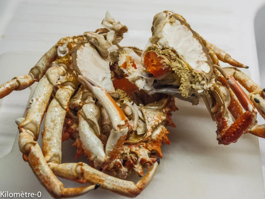 Décortiquer une araignée - Étape 4