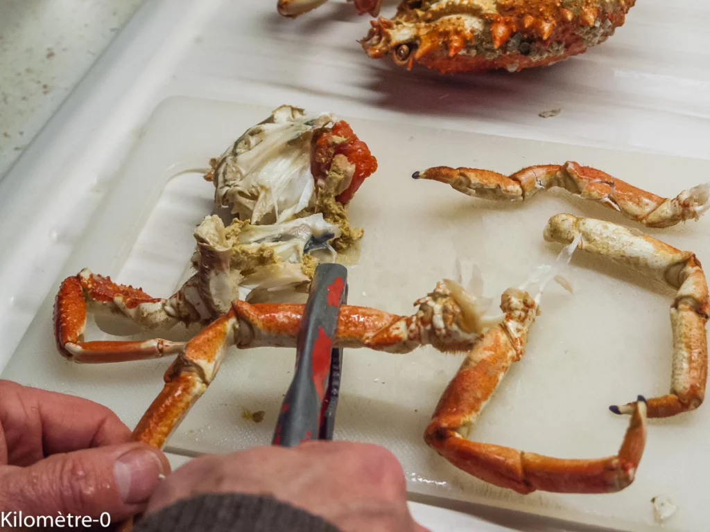 Décortiquer une araignée - Étape 7