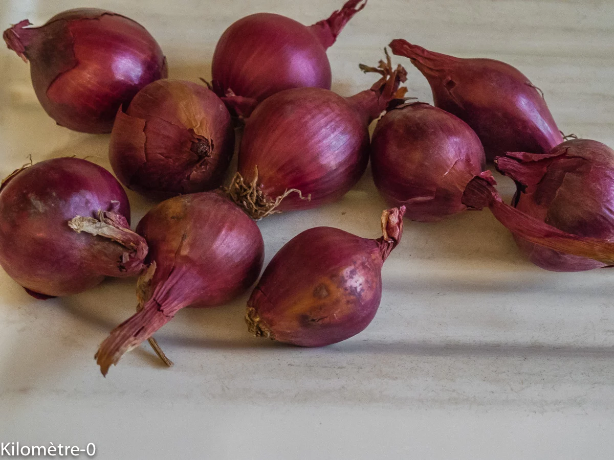 Photo de recette de Kilomètre-0, blog de cuisine réalisée à partir de produits de saison et issus de circuits courts