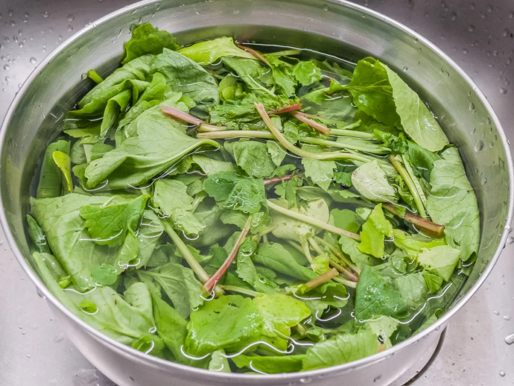 Pâtes au pesto de fanes de radis - Étape 2