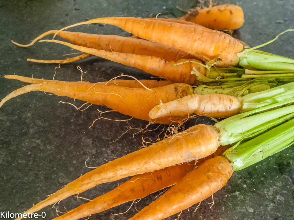 Cake salé aux carottes bottes - Étape 3