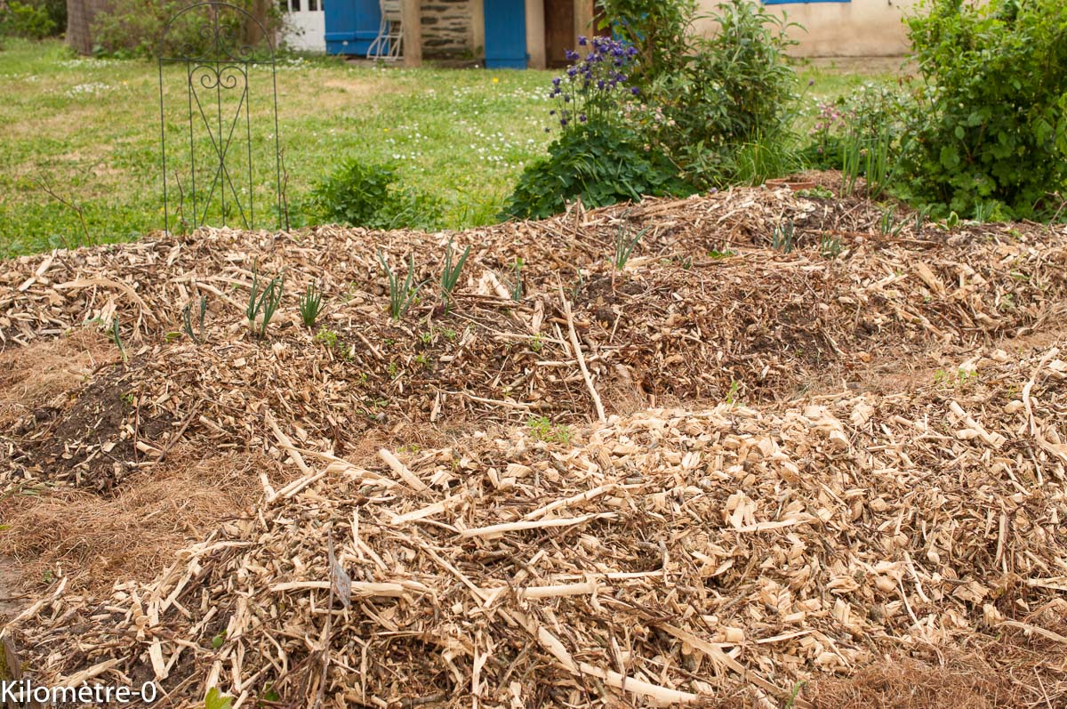 Confinement coronavirus, je fais quoi ? leçon 7 : je me lance dans le jardinage avec les moyens du bord