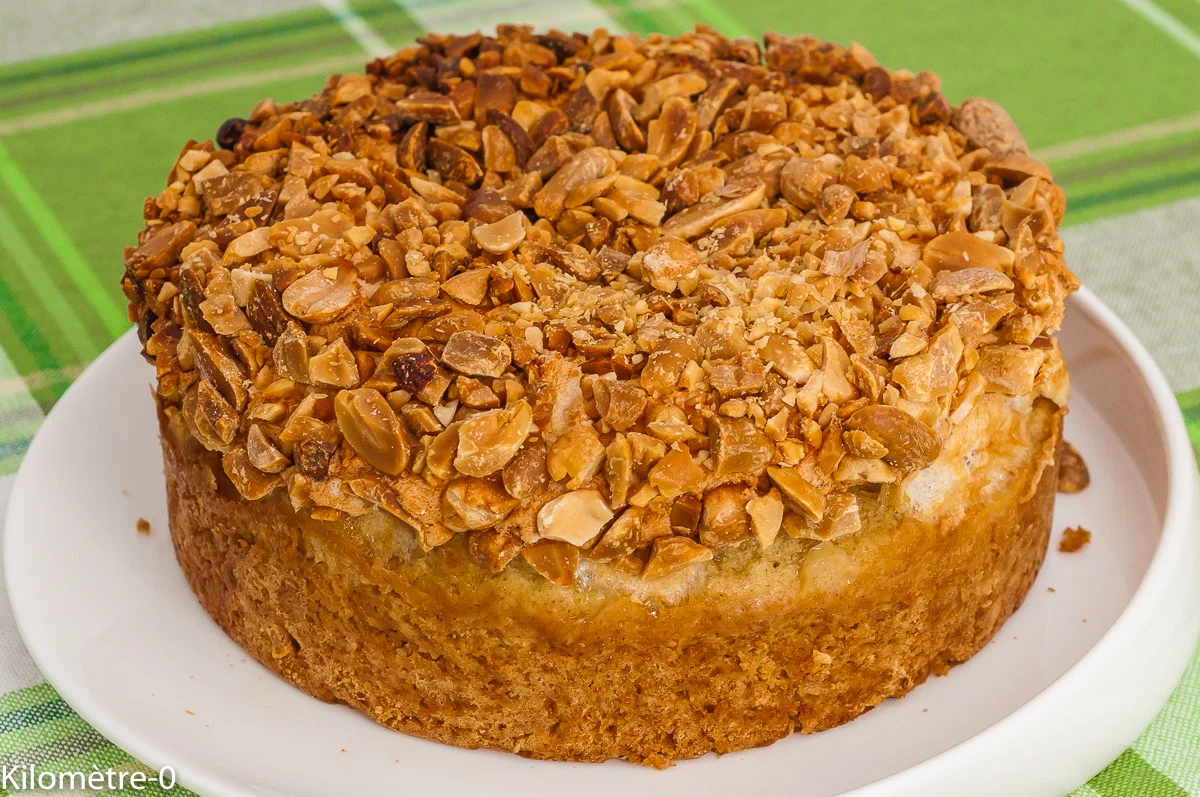 Photo de recette américaine, cuisine du monde, cake, dessert, gâteau, cacahuètes, Etats Unis, facile, bio, facile, rapide, léger de Kilomètre-0, blog de cuisine réalisée à partir de produits de saison et issus de circuits courts