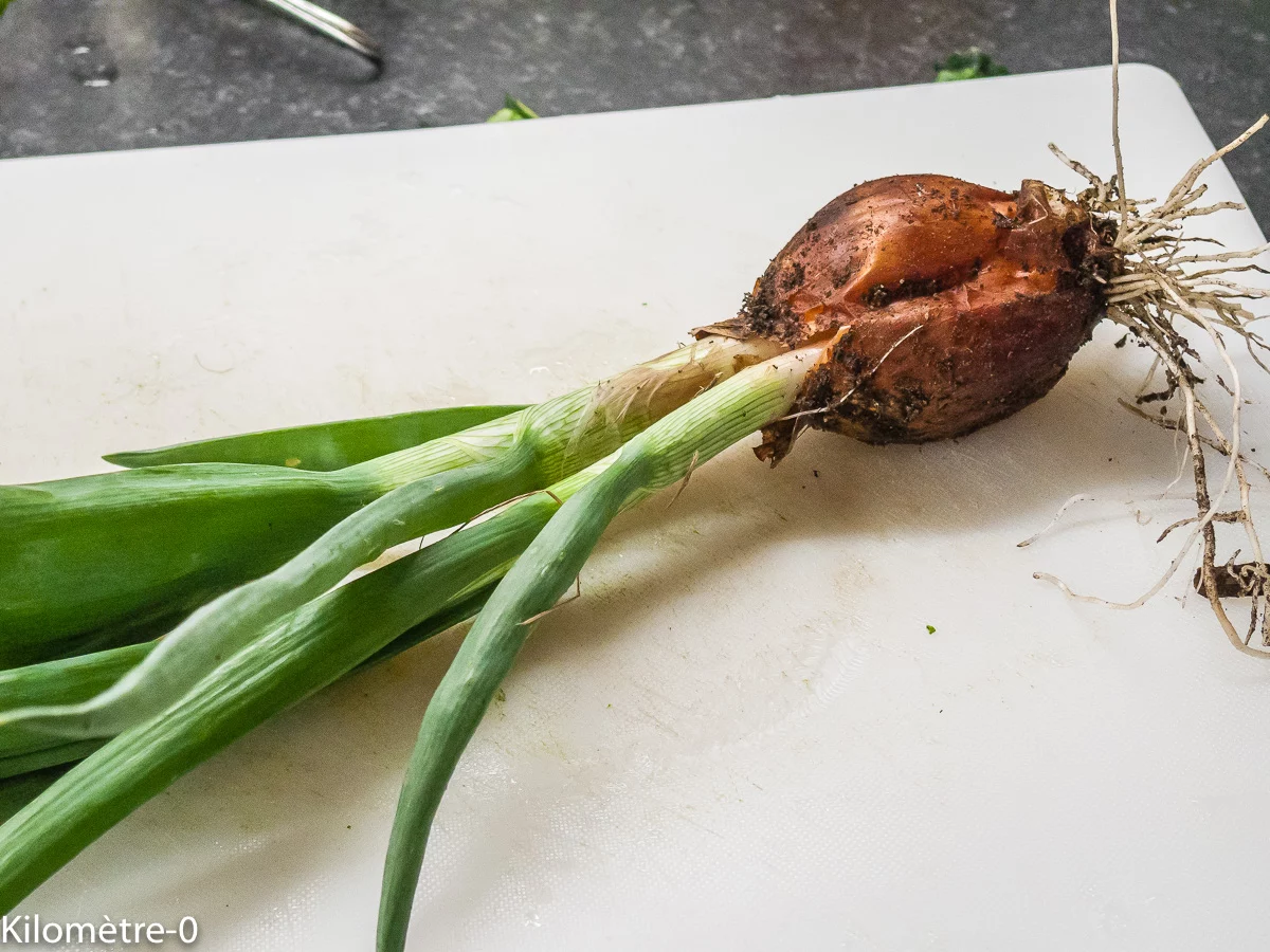 Photo de recette de Kilomètre-0, blog de cuisine réalisée à partir de produits de saison et issus de circuits courts
