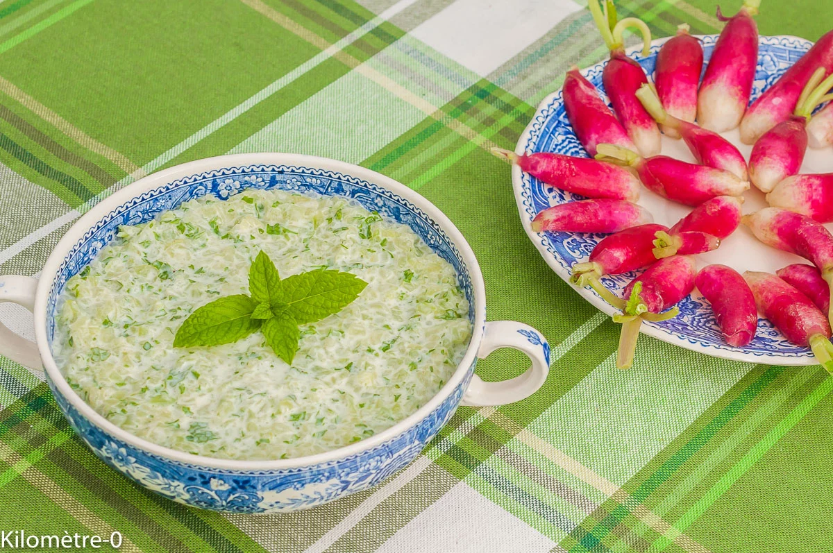 Photo de recette de dip, apéro, facie, rapide, léger, végétarien, bio, herbes, menthe, yaourt, concombre, Kilomètre-0, blog de cuisine réalisée à partir de produits de saison et issus de circuits courts