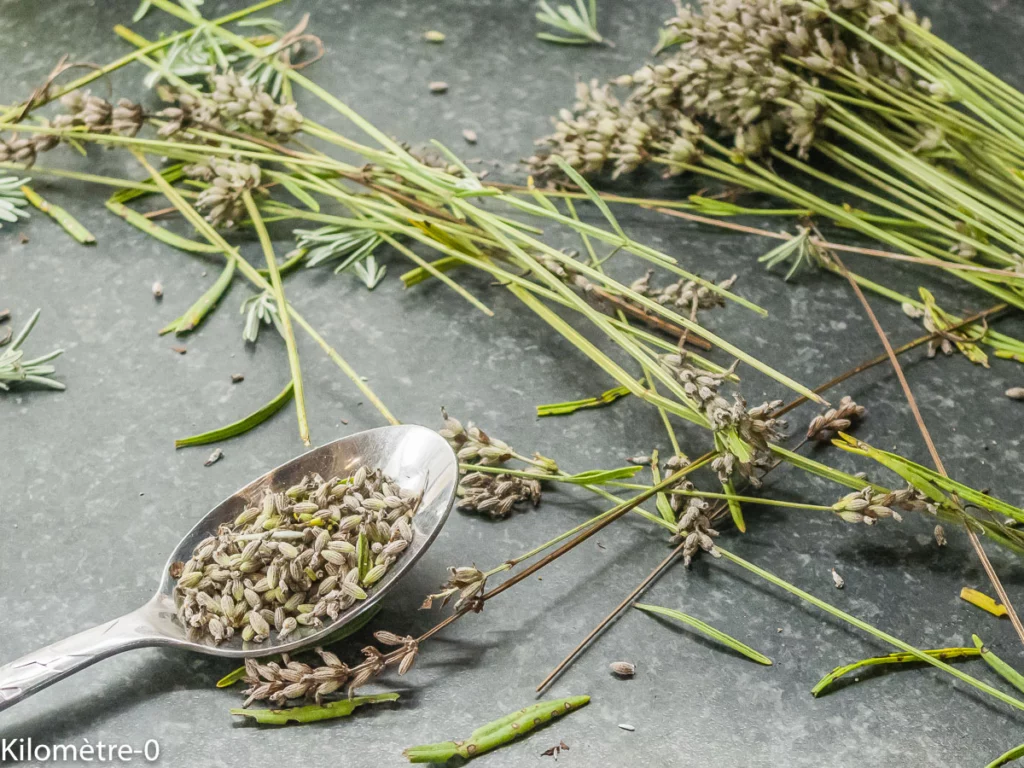 Panna cotta à la lavande - Étape 2