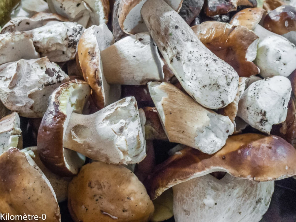 Gratin de confit de canard au céleri, poires et cèpes - Étape 1