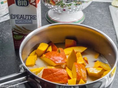 Soupe de potimarron au lait d&rsquo;épeautre : étape 3 — Ajoutez les morceaux de potimarron et du lait d'épeautre presque à…