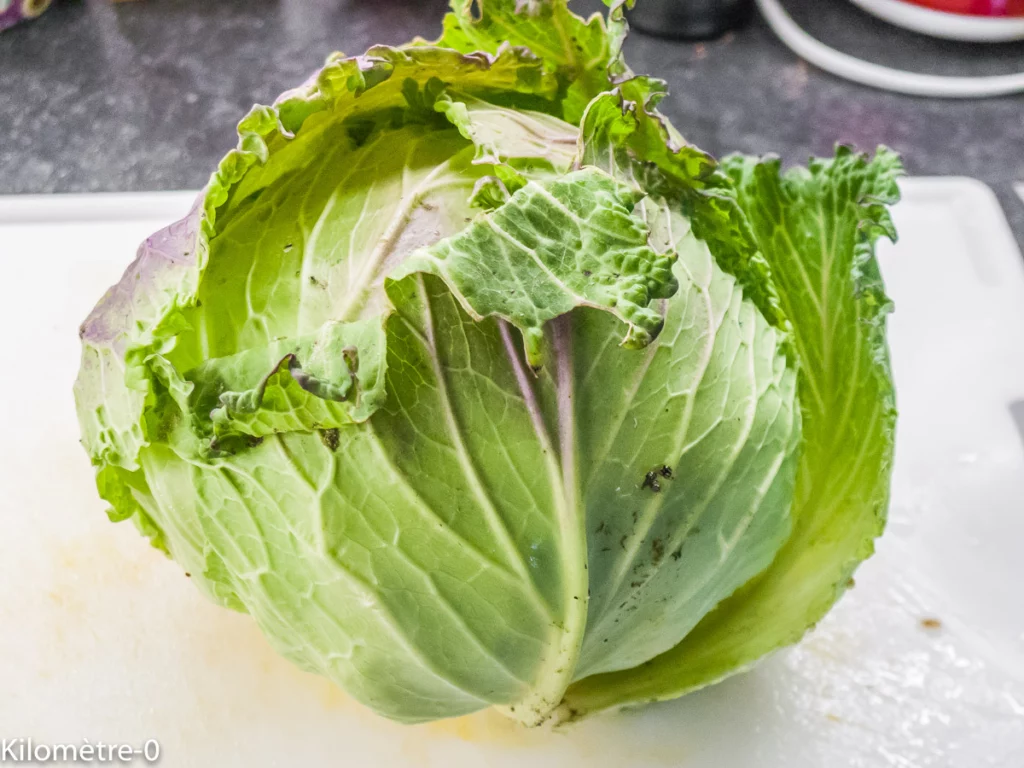 Canard au chou - Étape 2