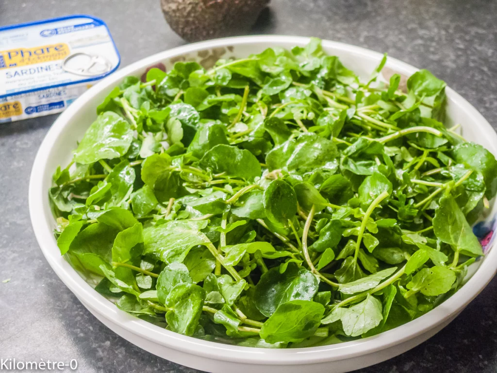Salade de cresson aux sardines, avocat et grenade - Étape 1