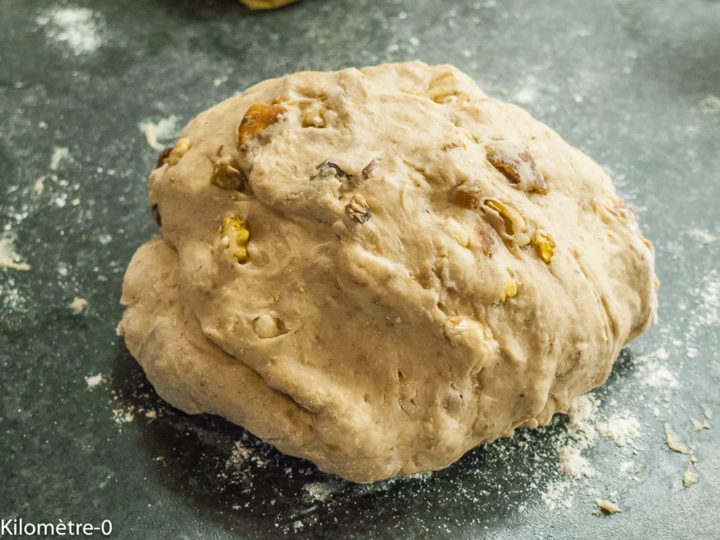 Bisciola, pain italien de Noël (Lombardie) - Étape 8