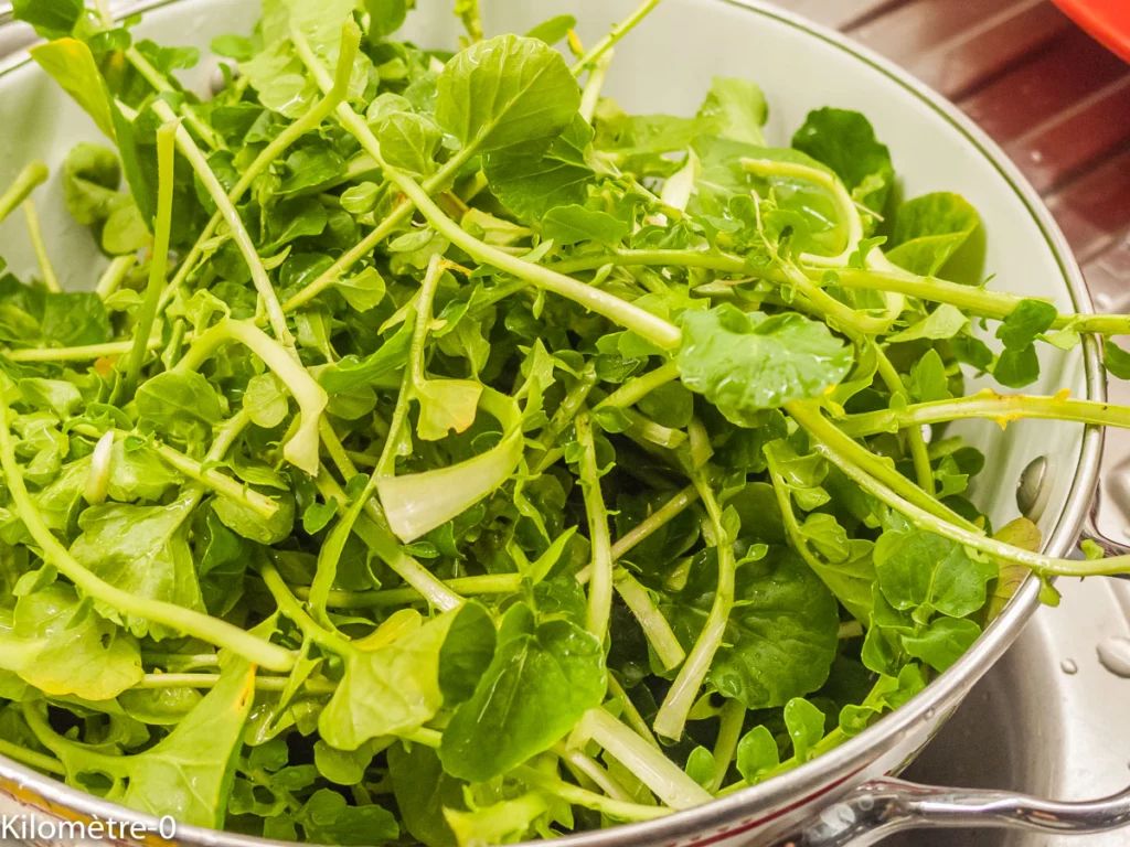 Pois chiches aux lentilles, salade de cresson aux pommes - Étape 3