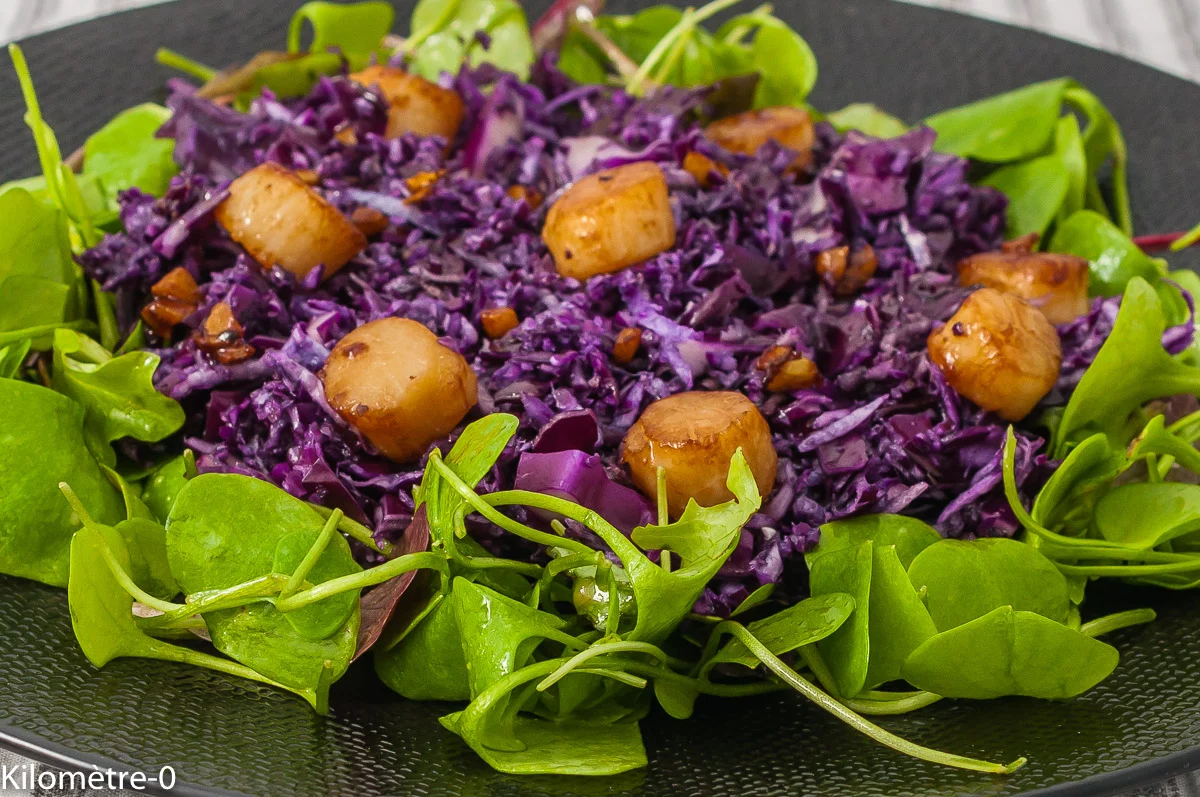 Photo de recette de chou rouge, noix de pétoncles, saint jacques, healthy, tamari, sauce soja, légère, rapide, facile, Kilomètre-0, blog de cuisine réalisée à partir de produits de saison et issus de circuits courts
