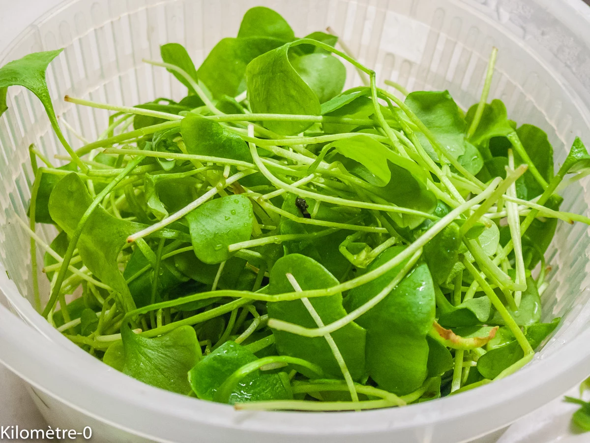 Photo de recette de Kilomètre-0, blog de cuisine réalisée à partir de produits de saison et issus de circuits courts