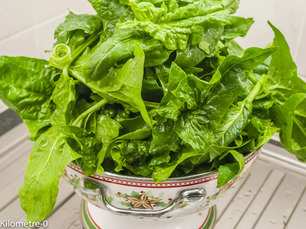 Gratin d&rsquo;épinards - Étape 1