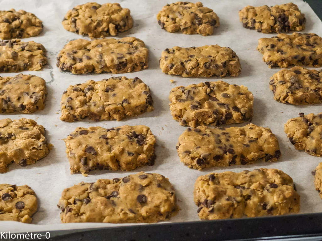 Biscuits faciles de type belvita - Étape 9